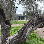 Infinity Yasam Vadisi Ayvalik