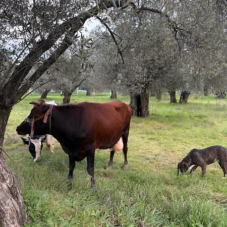 Hostel Infinity Yasam Vadisi *