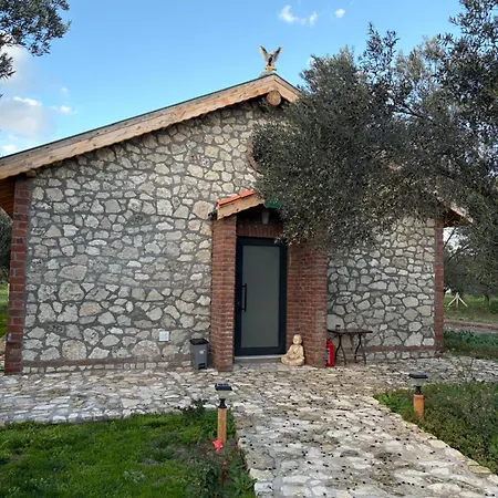 Infinity Yasam Vadisi Ayvalik