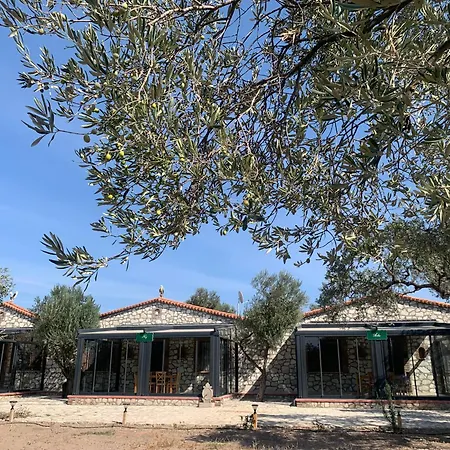 Hostel Infinity Yasam Vadisi *