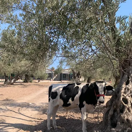 Hostel Infinity Yasam Vadisi *