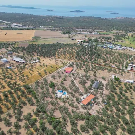 Hostel Infinity Yasam Vadisi