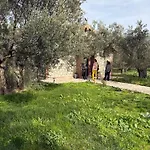 Hostel Infinity Yasam Vadisi Ayvalı
