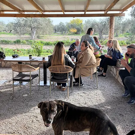 Infinity Yasam Vadisi Хостел