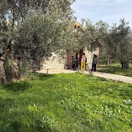 Albergue Infinity Yasam Vadisi Ayvalı
