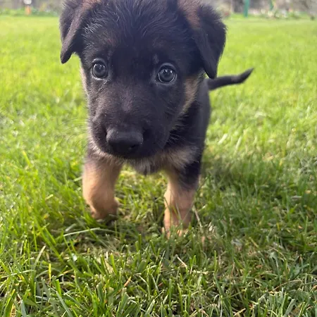 Хостел Infinity Yasam Vadisi *