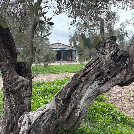 Infinity Yasam Vadisi Ayvalik