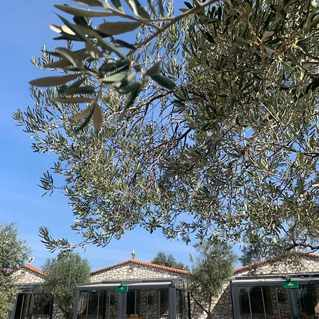 Hostel Infinity Yasam Vadisi Ayvalik