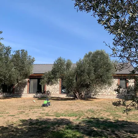 Infinity Yasam Vadisi Хостел Айвалик