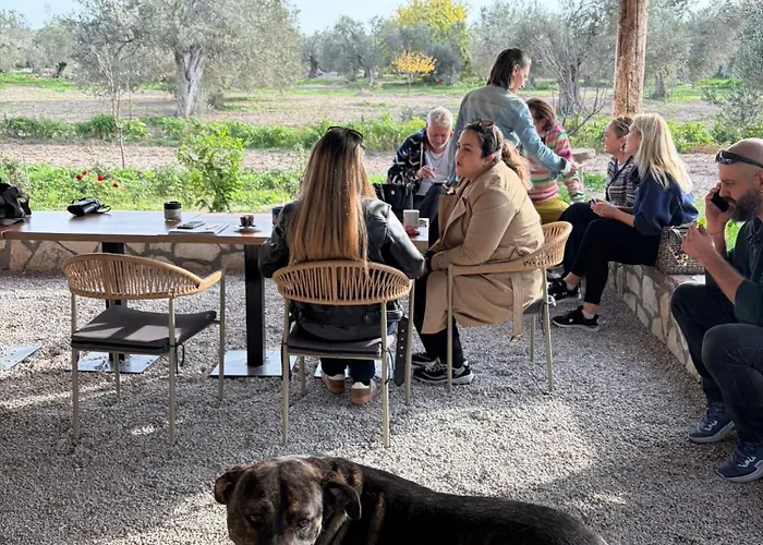 Infinity Yasam Vadisi 旅馆