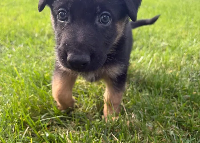 旅馆 Infinity Yasam Vadisi *