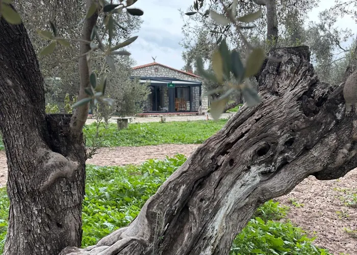 Infinity Yasam Vadisi Ayvalı