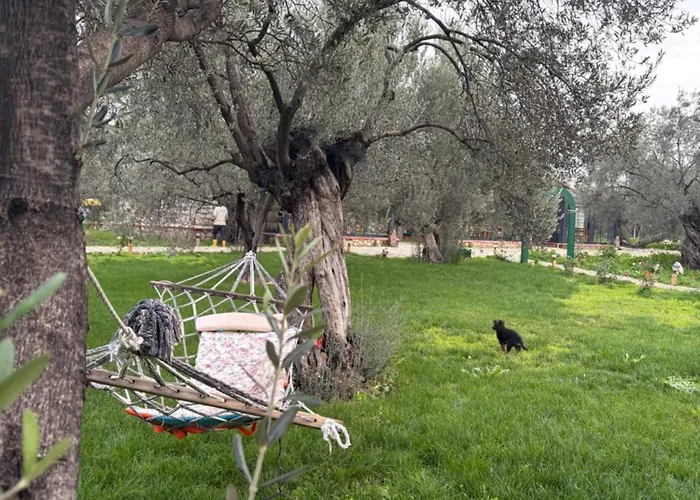 Infinity Yasam Vadisi * Ayvalı